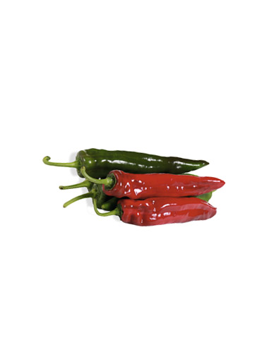  CAISSE POIVRONS DOUX VERT 4 KG