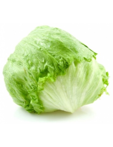  CAISSE SALADE ICEBERG CAT I CAL 10