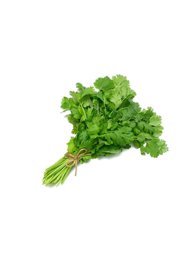  CAISSE CORIANDRE 20 BOUQUET