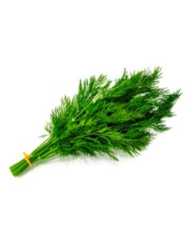 CAISSE ANETH 20 BOUQUET